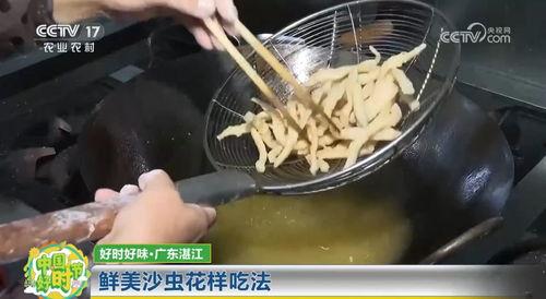 沙虫视频,沙虫视频揭秘神秘海洋生物