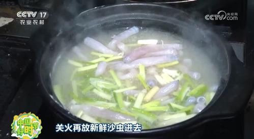 沙虫视频,沙虫视频揭秘神秘海洋生物