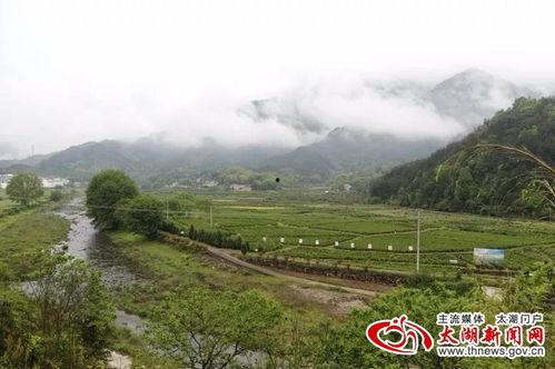 美丽乡村视频,探寻乡村振兴的美丽足迹