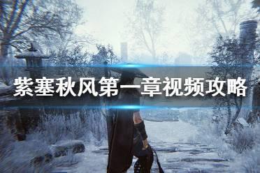 秋风视频,捕捉季节变换的瞬间魅力