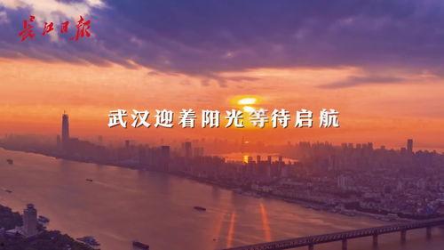 中文字幕 乱轮视频,揭秘网络乱象背后的真相