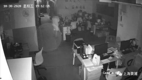 盗窃视频,盗窃现场惊心动魄，警方追踪破案过程