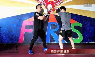 散打教学视频,实战技巧与训练方法全揭秘