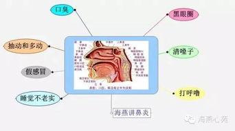 洗鼻子视频,专业视频教程解析