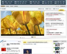 网络视频直播,实时互动的数字娱乐新篇章