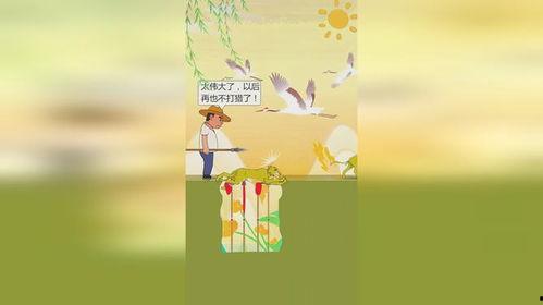 的故事视频,揭秘神秘故事视频背后的传奇