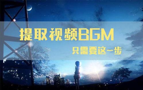 视频bgm,揭秘视频背景音乐的奥秘