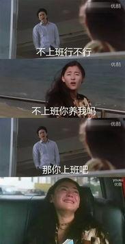 我养你视频,一段感人至深的情感旅程