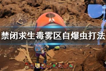 虫子打架的视频,一场惊心动魄的虫子打架现场