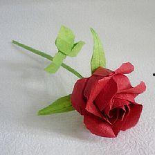 玫瑰花教程视频,轻松掌握花艺制作技巧