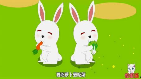小白兔视频大全,视频大全精选集锦