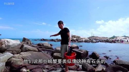 海边赶海视频,捕捉海边的美好瞬间