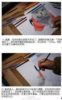 爱爱教学视频,揭秘亲密关系中的甜蜜秘诀