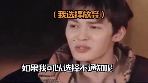 杨迪吃瓜爆料,娱乐圈幕后真相大揭秘