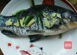 鲫鱼的做法视频,美味鱼香，一学就会