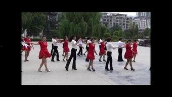 交谊舞视频教学,交谊舞视频教程带你领略舞池魅力