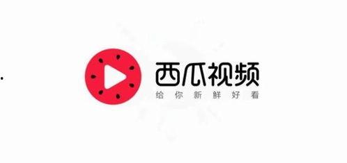 七冉吃瓜今日头条,揭秘娱乐圈最新热点事件