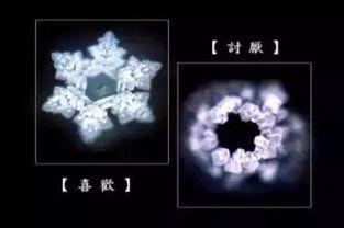 谁知道答案视频,揭秘“谁知道答案”视频背后的奥秘