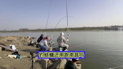 钓巨物视频,钓巨物视频背后的惊险历程