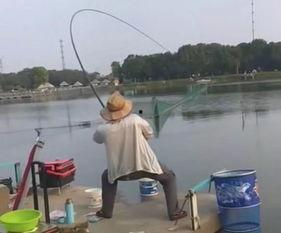 钓巨物视频,钓巨物视频背后的惊险历程
