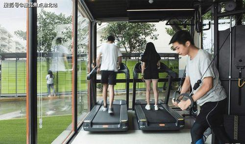 连云港今日鲜瓜价格查询,新鲜上市，价格实惠”