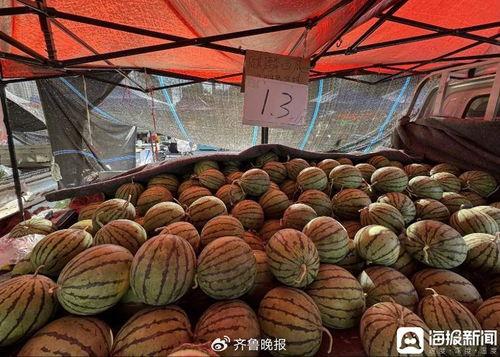 有籽麒麟瓜今日价格,今日有籽麒麟瓜价格行情一览