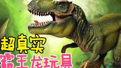龙真实视频,揭秘神秘生物的神秘面纱