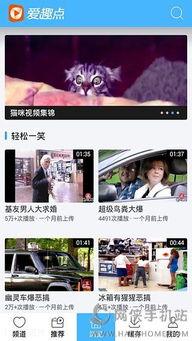 恶搞视频下载,笑料横生的欢乐时光回顾