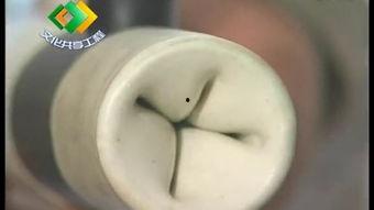受精视频,高清视频捕捉生命起源的奇迹