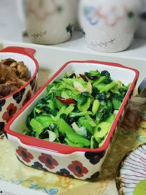 小白菜视频,揭秘绿色蔬菜的种植与营养奥秘