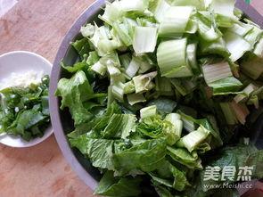 小白菜视频,揭秘绿色蔬菜的种植与营养奥秘