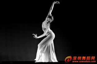 中国舞蹈教学视频,中国舞蹈教学视频精华解析