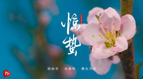 惊蛰视频,春雷唤醒万物，探寻自然节气的奥秘