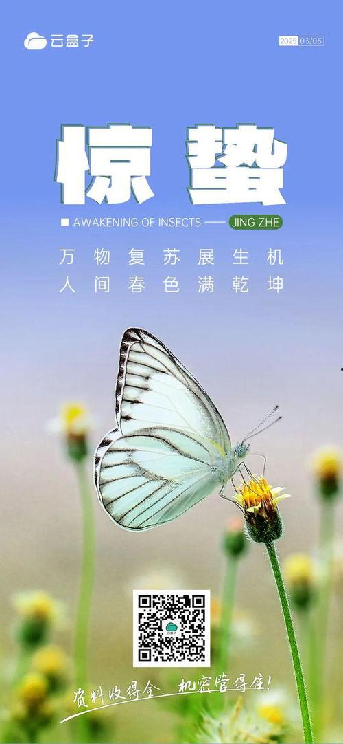 惊蛰视频,春雷唤醒万物，探寻自然节气的奥秘