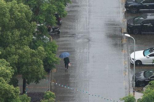 下雨的小视频,捕捉自然旋律的瞬间