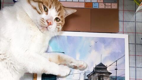 画猫的视频,如何轻松绘制萌态可掬的猫咪