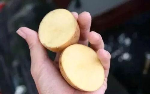 切土豆视频,跟随视频学习高效切土豆技巧