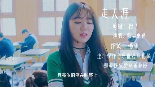 走天涯视频,探寻未知世界的视觉之旅