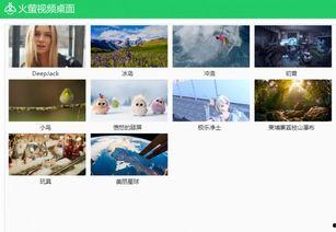 莹视频,揭秘生活点滴，展现人间真情