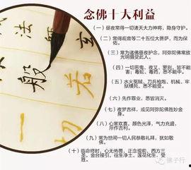 心经讲解最好的视频,视频教程深度解析