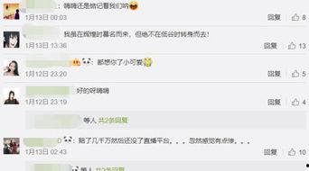 嗨氏视频,揭秘热门游戏主播的幕后生活与精彩瞬间