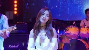 傣族歌曲视频,歌声中的民族画卷