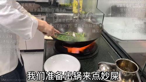烧菜视频