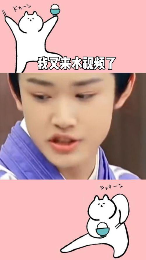 我是怎么来的视频,我是怎么来的深度揭秘