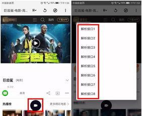 看视频播放,XX主题深度解析