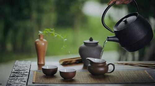 喝茶视频,一探究竟的喝茶视频之旅