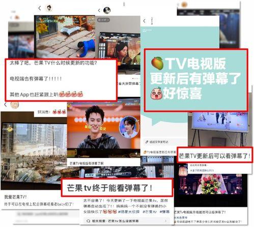 芒果视频网站,解锁精彩视听盛宴，畅享海量内容