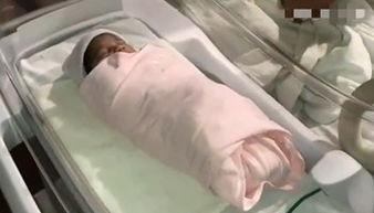 羊水视频,胎儿在母体内的奇妙生活