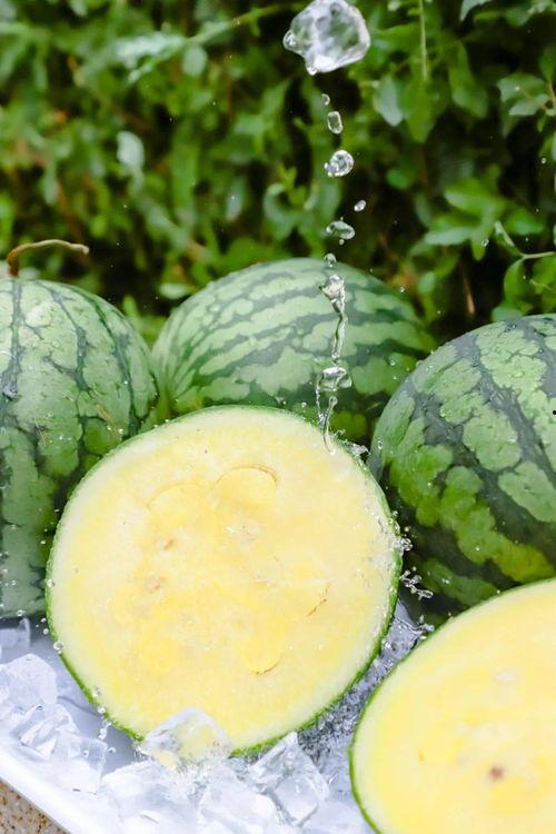 黑料吃瓜网997-su,一场网络舆论的风暴与反思