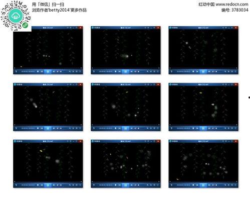 藤蔓视频,探索视觉艺术与创意表达的无限可能